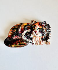 Cat Magnet