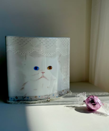 Flower Vase/White Cat