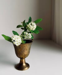 Small Brass Goblet