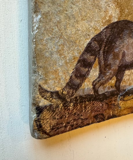 Stone Wall Art/Racoon