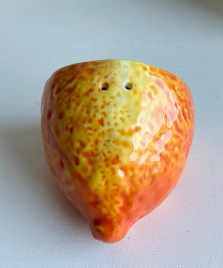 Spice Case/Lemon