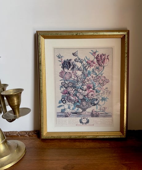 Botanical Framed Art/April
