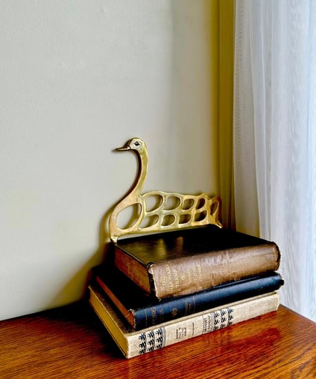 Swimming Swan