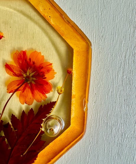 Trivet/Real Plants