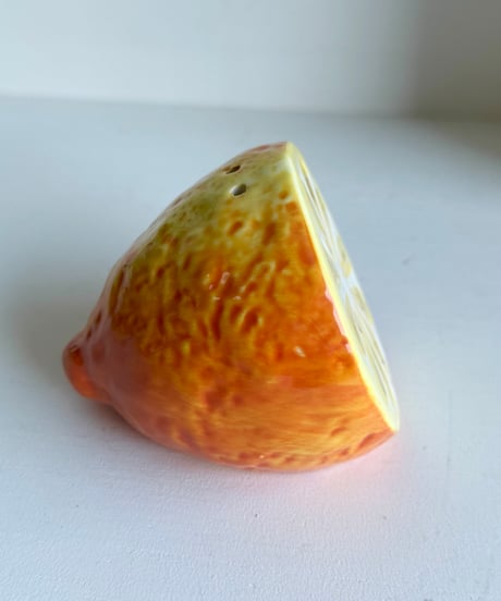 Spice Case/Lemon