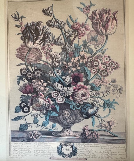 Botanical Framed Art/April