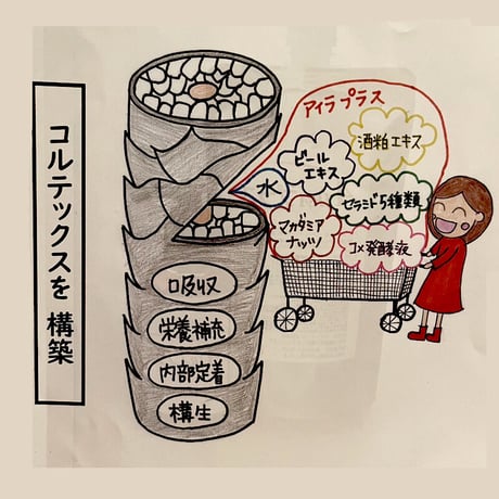 プランドール　アイラ プラス　110ml