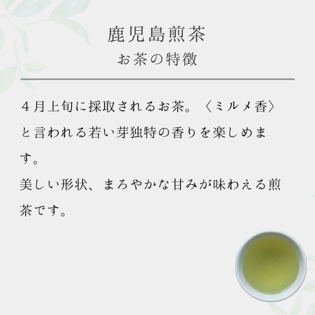 鹿児島煎茶