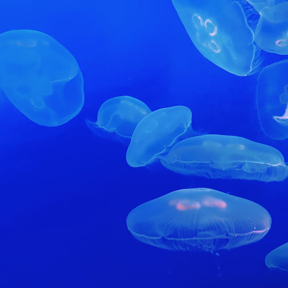 668e1789d58742002da4860e