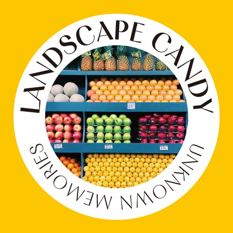 Landscape Candy Necklace / Fruits Market ⅱ