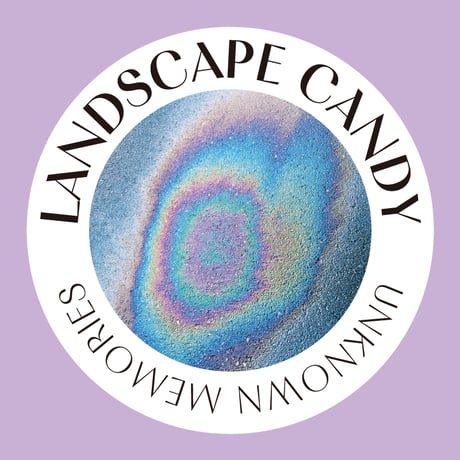 Landscape Candy Necklace / Oil Slick