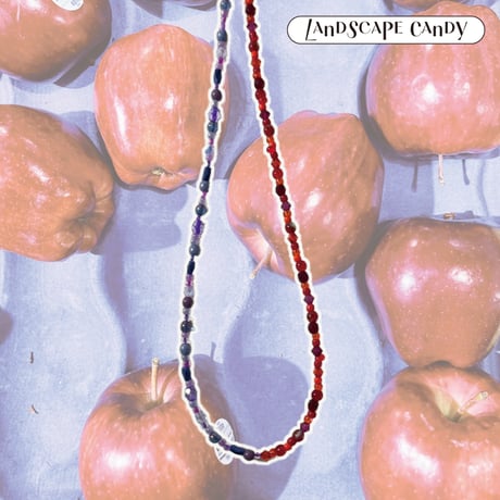 Landscape Candy Necklace -two tone-/ Apple Season