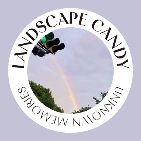 Landscape Candy Bracelet / Rainbow