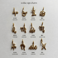 Zodiac sign charm / stainless
