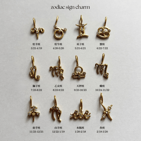 Zodiac sign charm / stainless