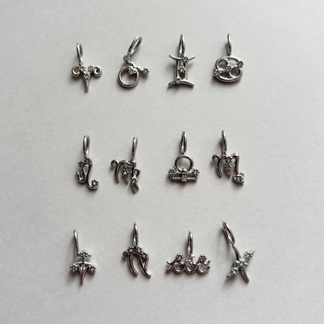 Zodiac sign charm / stainless