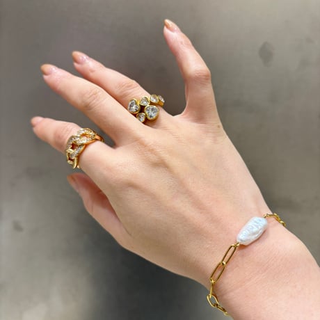 Chain ring / stainless
