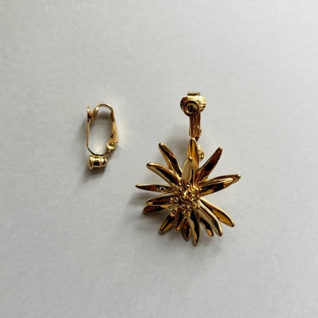 Earrings Converter