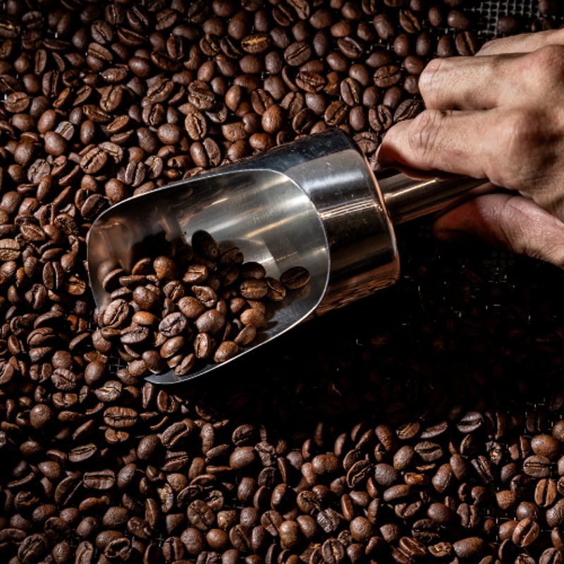 200g ブラジル・サントスNO.2 17-18 | まめや Coffee Roasters