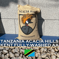 200g タンザニア アカシアヒルズ農園 Kent Fully-Washed AA
