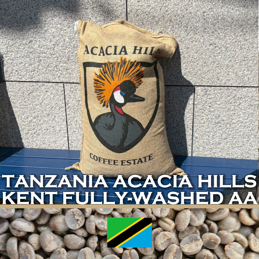 200g タンザニア アカシアヒルズ農園 Kent Fully-Washed AA | まめや