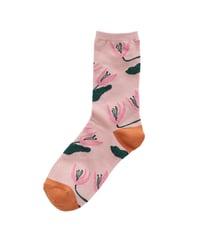 Matsuo Miyuki Socks Plants Tulip