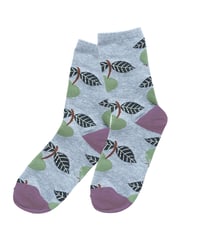 Matsuo Miyuki Socks Plants Fruits