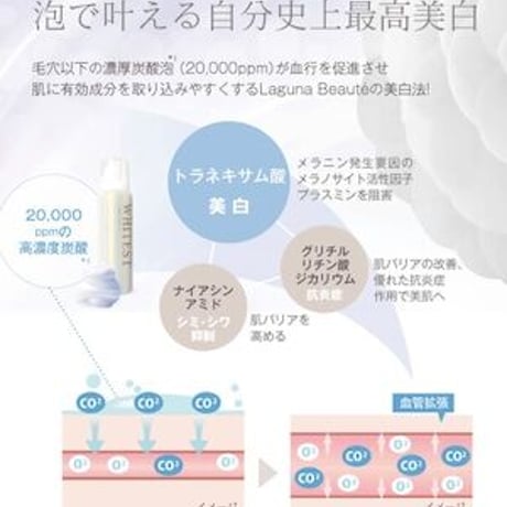 【医薬部外品】WHITEST(ホワイテスト) オールインワン炭酸美白美容液