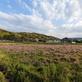 アグリ衣笠農園