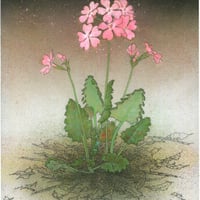 松尾洋明 『ガリラヤの春』 油彩 F10号 松尾洋明 『ガリラヤの春』 油彩 F10号