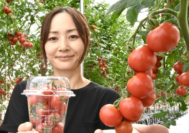 fit=cover,w=648,h=456