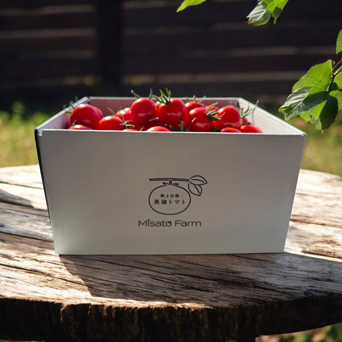 金賞受賞】ミサトファームの美健トマト® 高糖度「1キロ」 | Misato Farm
