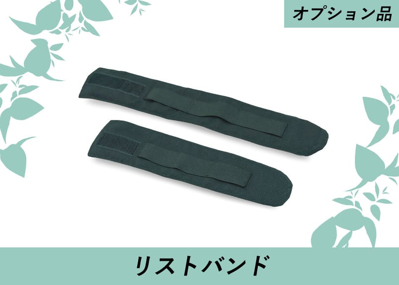 スマートレーサ