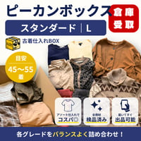 【倉庫受取限定】ピーカンボックス｜スタンダード｜Lサイズ