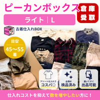 【倉庫受取限定】ピーカンボックス｜ライト｜Lサイズ