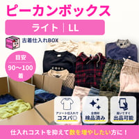 ピーカンボックス｜ライト｜LLサイズ