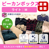 【倉庫受取限定】ピーカンボックス｜ライト｜Mサイズ