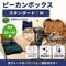 ピーカンボックス｜スタンダード｜Mサイズ