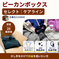 ピーカンボックス｜セレクト｜ケアライン