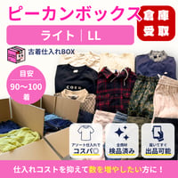 【倉庫受取限定】ピーカンボックス｜ライト｜LLサイズ