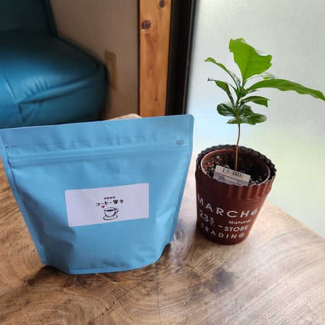 【夏季限定】水出しコーヒー(粉：150g)