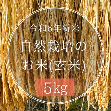 30kilo 米 になります、10月2024年に作った、えびの宮崎の美味しい米 特別栽培米 | ヒノヒカリ 2024年 - 【十割そば・雑穀の通販