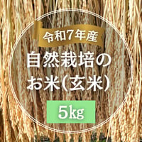 【令和７年産】自然栽培のお米（玄米）5kg