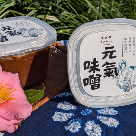 【数量限定生産】天然醸造木樽仕込み　元氣味噌