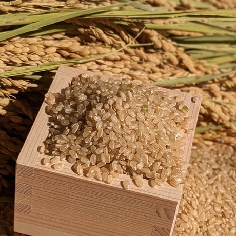 【令和７年産】自然栽培のお米（玄米）2kg