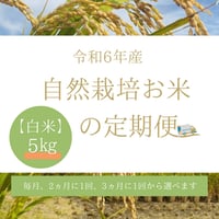 ※ご予約限定　自然栽培　お米の定期便（白米）5kg