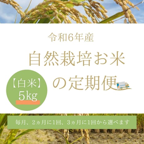 ※ご予約限定　自然栽培　お米の定期便（白米）5kg
