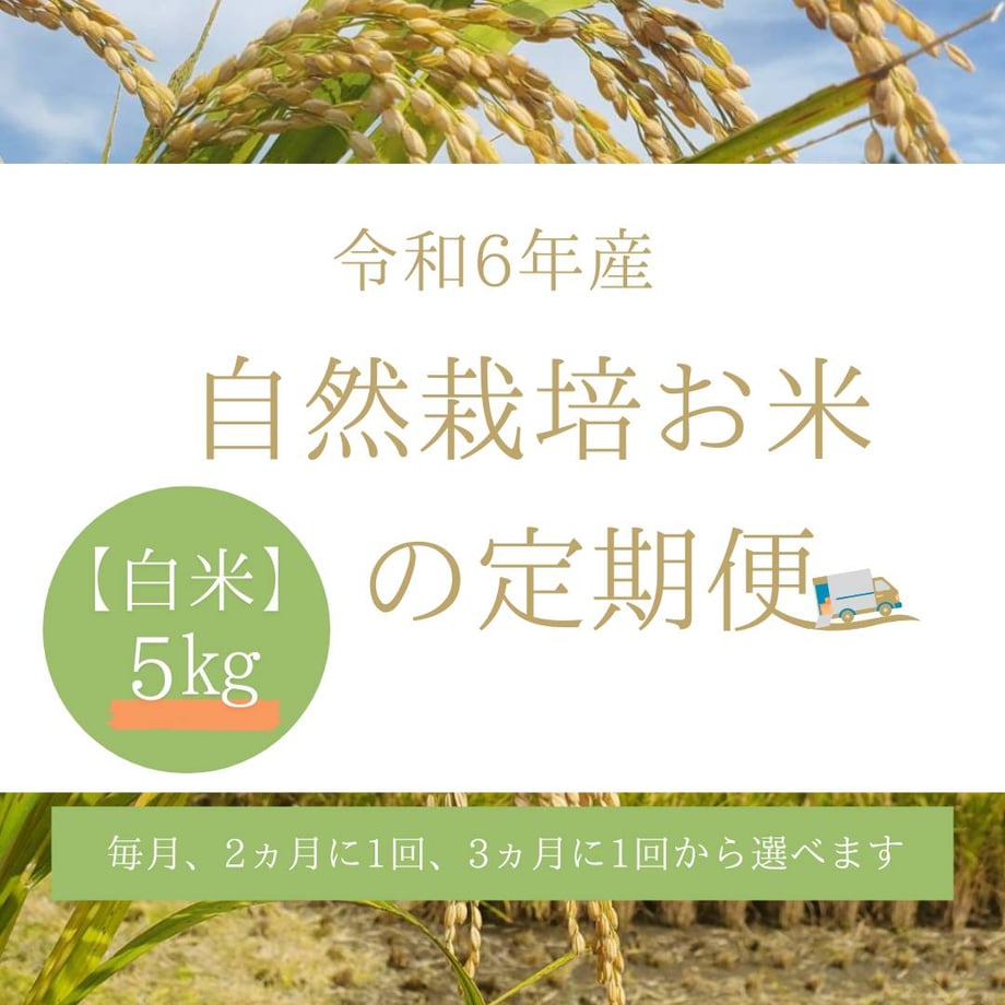 6533ad136c3f1e1f8df8b8b6