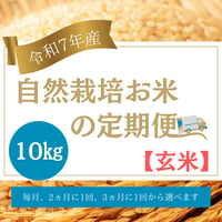 ※ご予約様限定　R7年産お米の定期便（玄米）10kg