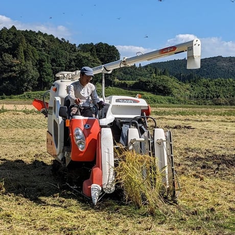 R7年産お米の定期便（白米）5kg